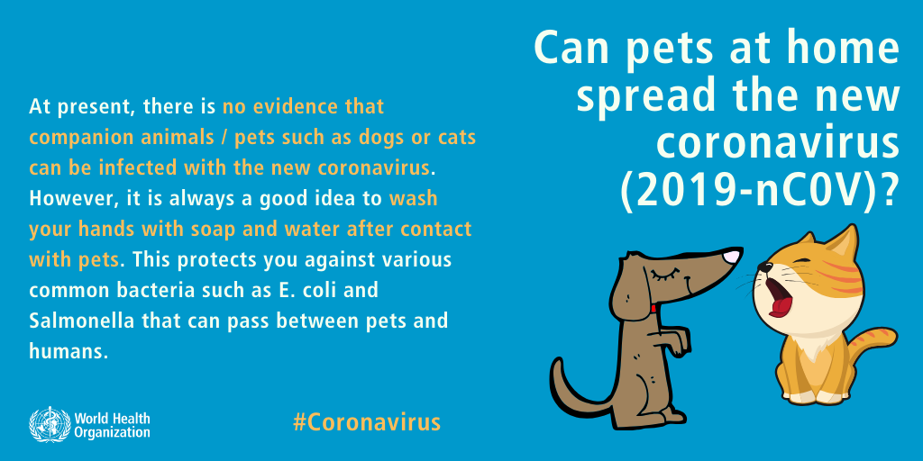 can pets spread coronavirus - Starship