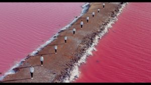 Qantas - I Still Call Australia Home